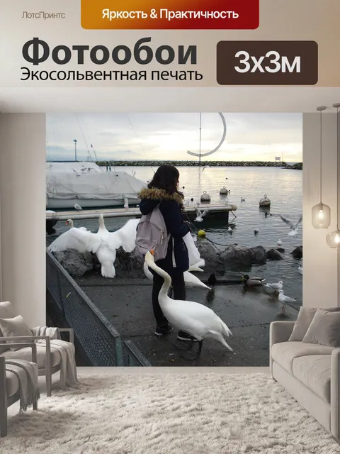 Фотообои Вор