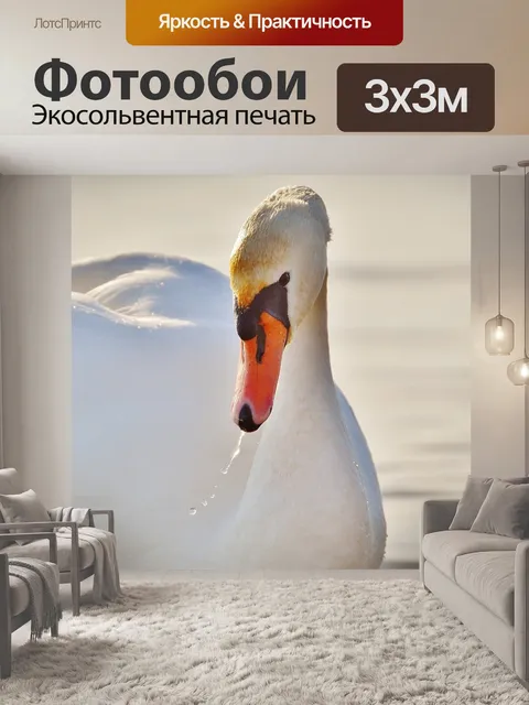 Фотообои Лебедь