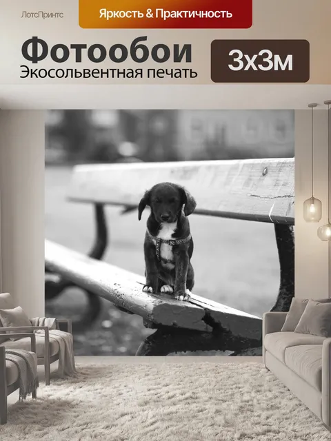 Фотообои Щенок
