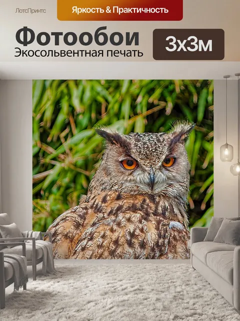 Фотообои Филин