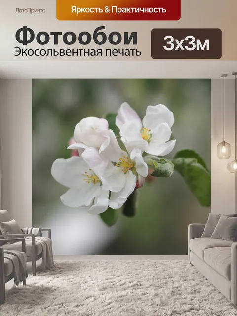 Фотообои Цветок