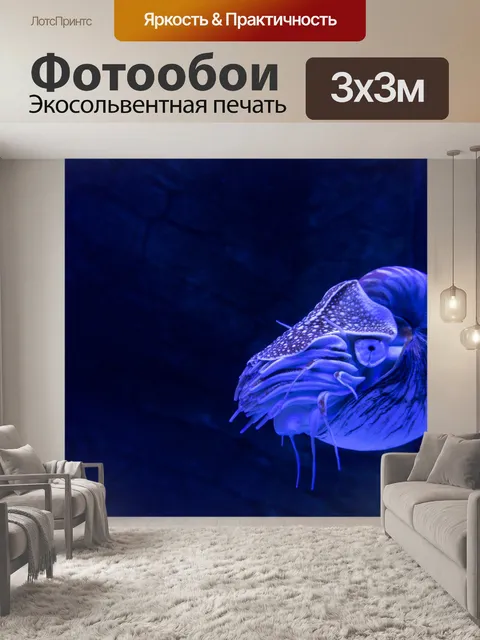 Фотообои Наутилус