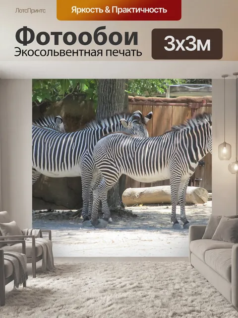 Фотообои Зебры