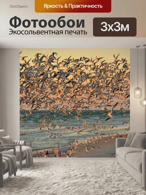 Фотообои Птицы