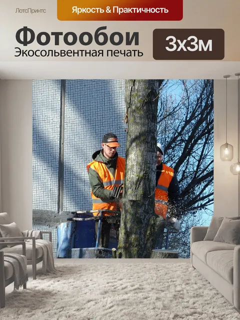 Фотообои Спил