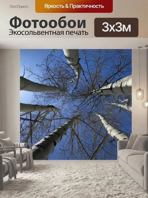 Фотообои Деревья