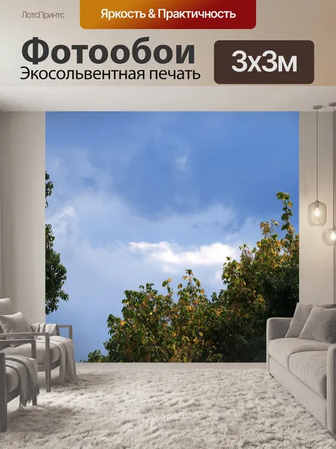 Фотообои деревья и небо капризным