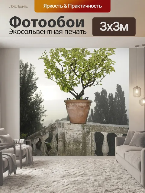 Фотообои Цветок