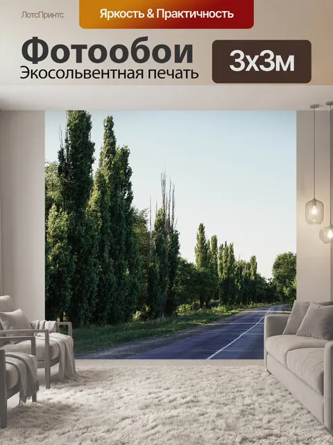 Фотообои Асфальт