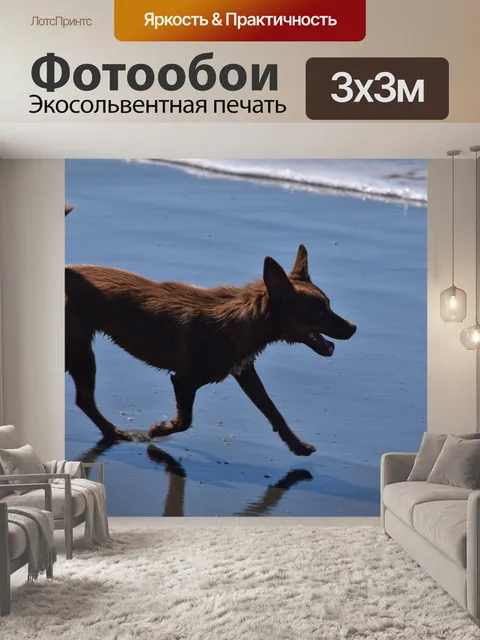 Фотообои Собака на пляже