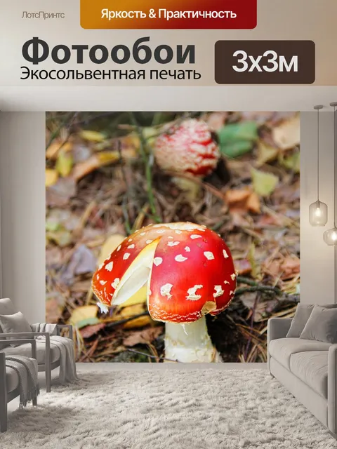 Фотообои Поганка