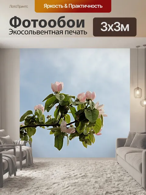 Фотообои Айва в цвету