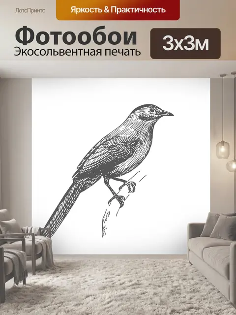 Фотообои Искусство рисования кошачьих птиц