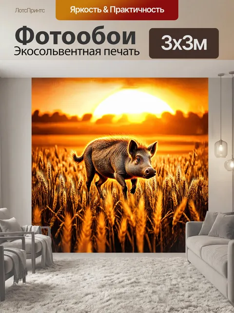 Фотообои дикий кабан медленно проходит сквозь пшеничное поле на закате