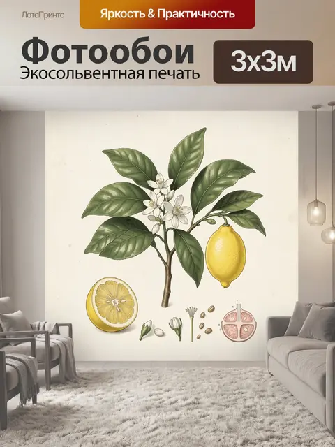 300 × 300 см · Экосольвентная печать