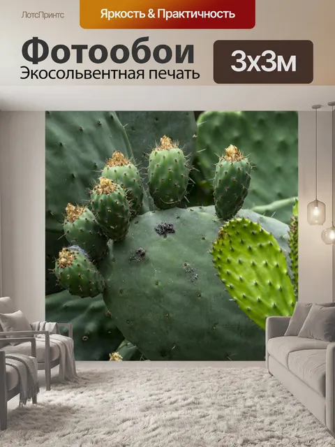 Фотообои Нопал Кактус
