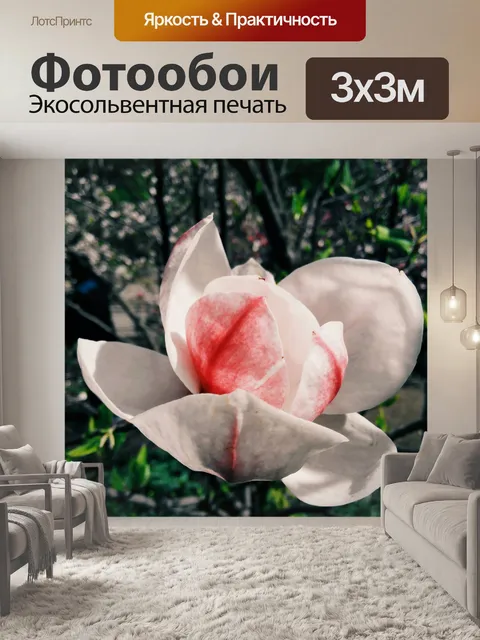 Фотообои Цветок