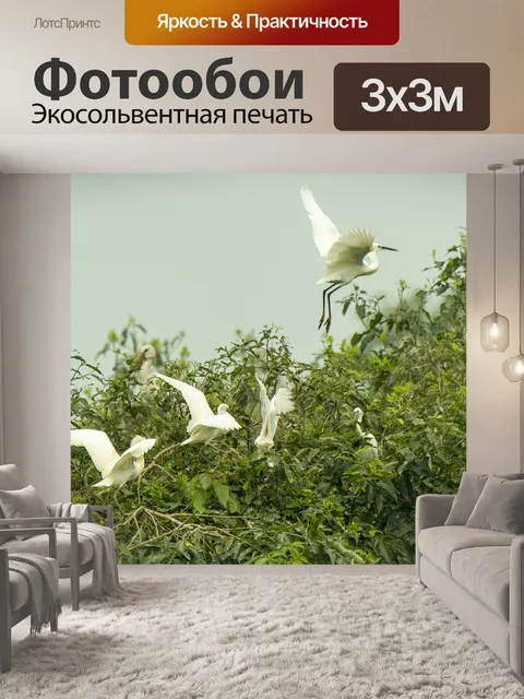 Фотообои Аисты и улитки
