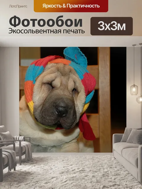 Фотообои Собака
