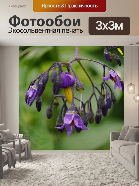 Фотообои Полевые цветы