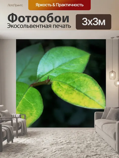 Фотообои блестящими зелеными листьями