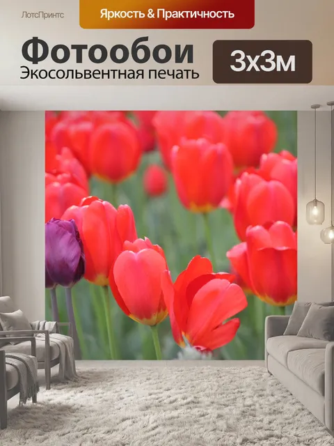 Фотообои Красные тюльпаны