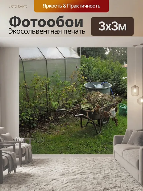 Фотообои Сад