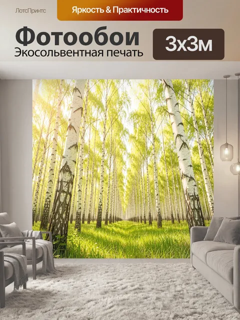 Фотообои Березовая аллея в солнечном лесу