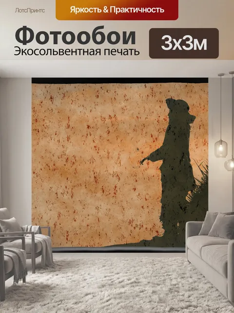 Фотообои пират