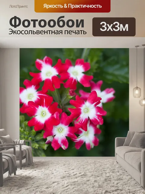 Фотообои Цветы макро Изображение