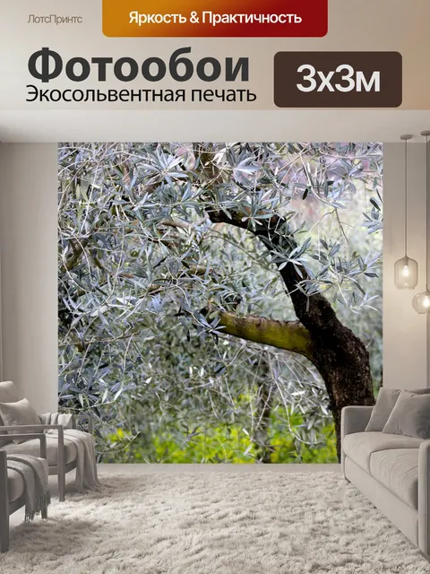 Фотообои Оливковое дерево