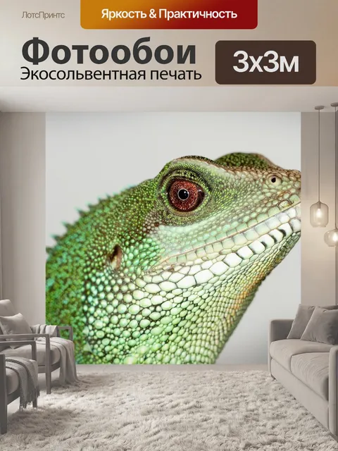 Фотообои Китайские воды дракон