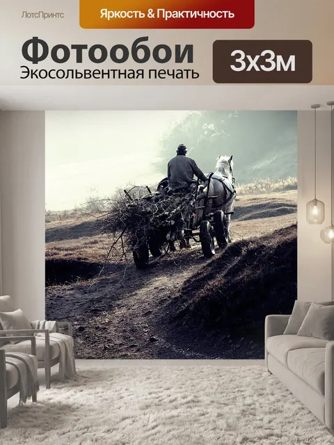 Фотообои Колесница