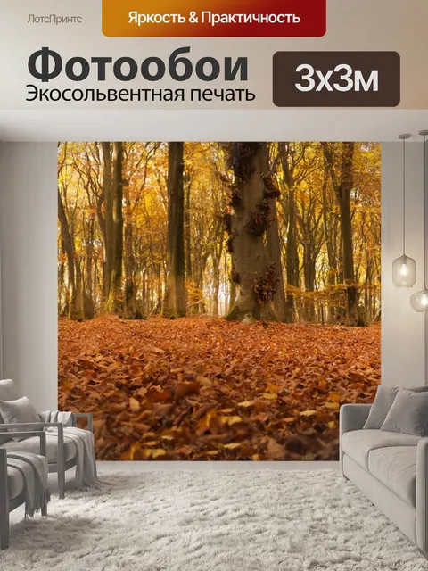 Фотообои Осенний лес Панорама