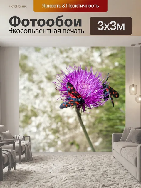 Фотообои Бабочки