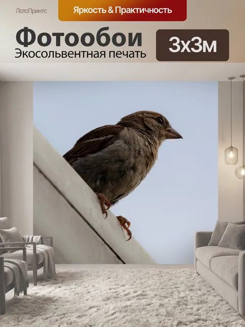 Фотообои Воробей