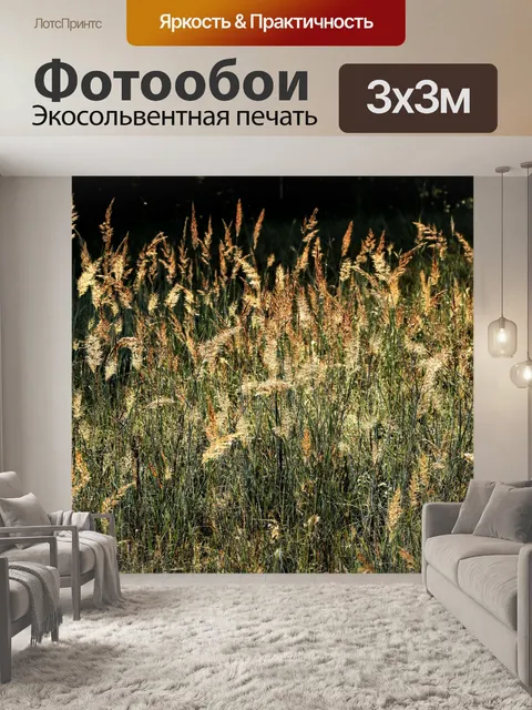 Фотообои Дикая трава в утреннем солнце