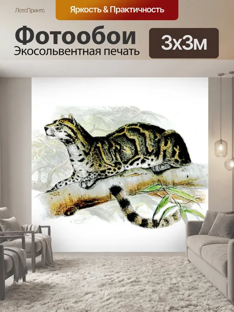 Фотообои Большая кошка кошка старинное искусство