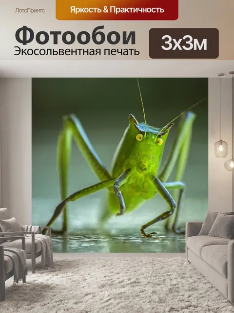 Фотообои Крикет