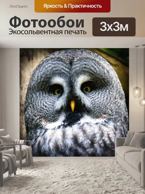 Фотообои Барт сова