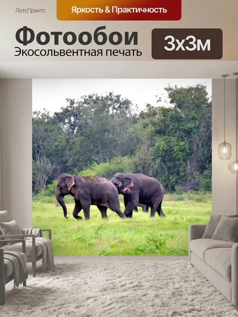 Фотообои Слоны
