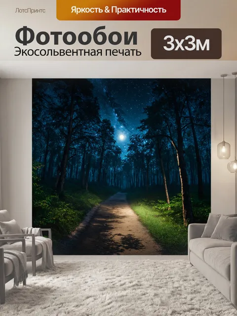 фотообои лес в стиле кинематографический: таинственный лес ночью