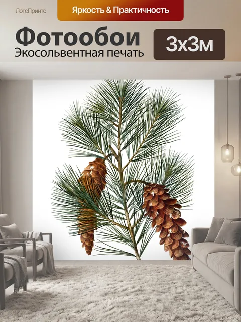 Фотообои Винтажный клипарт еловые ветки шишек