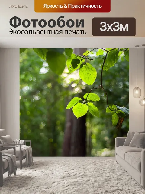 Фотообои Лес