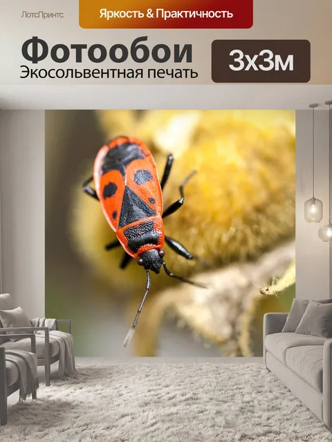 Фотообои Пожарная ошибка