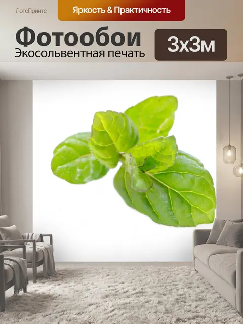 Фотообои Мята