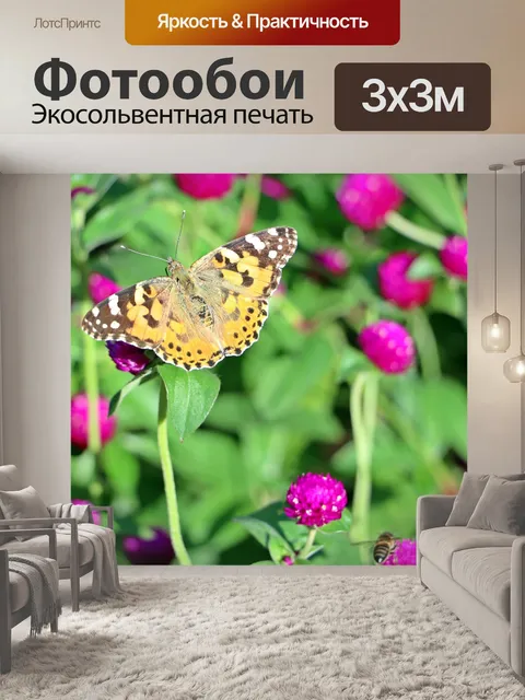 Фотообои Бабочка