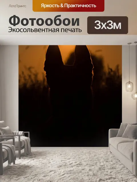Фотообои Летом