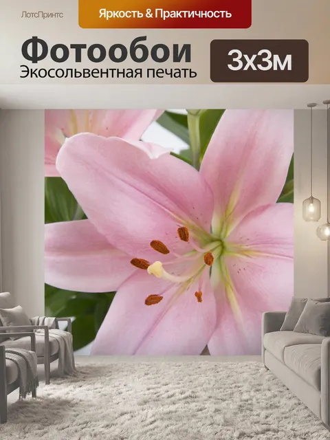 Фотообои Лилии Цветы