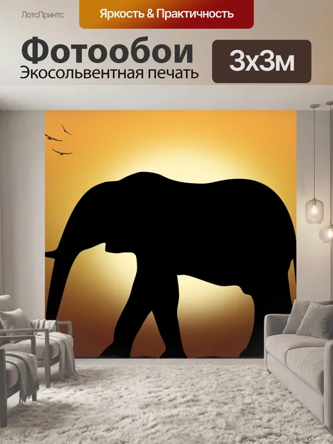 Фотообои Слон на закате